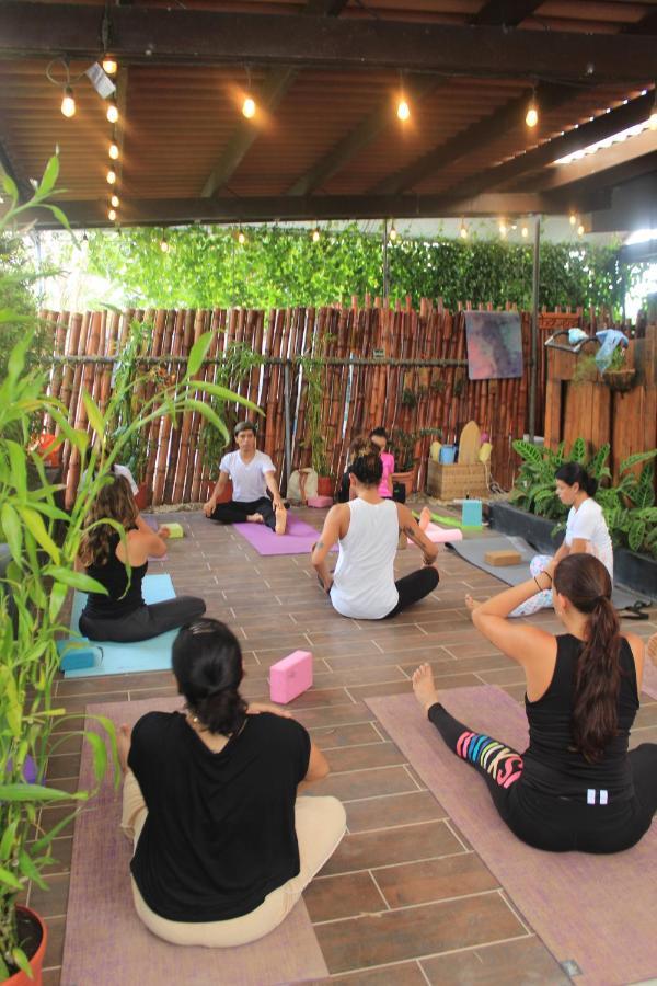 Bodhi & Lounge Hostel *