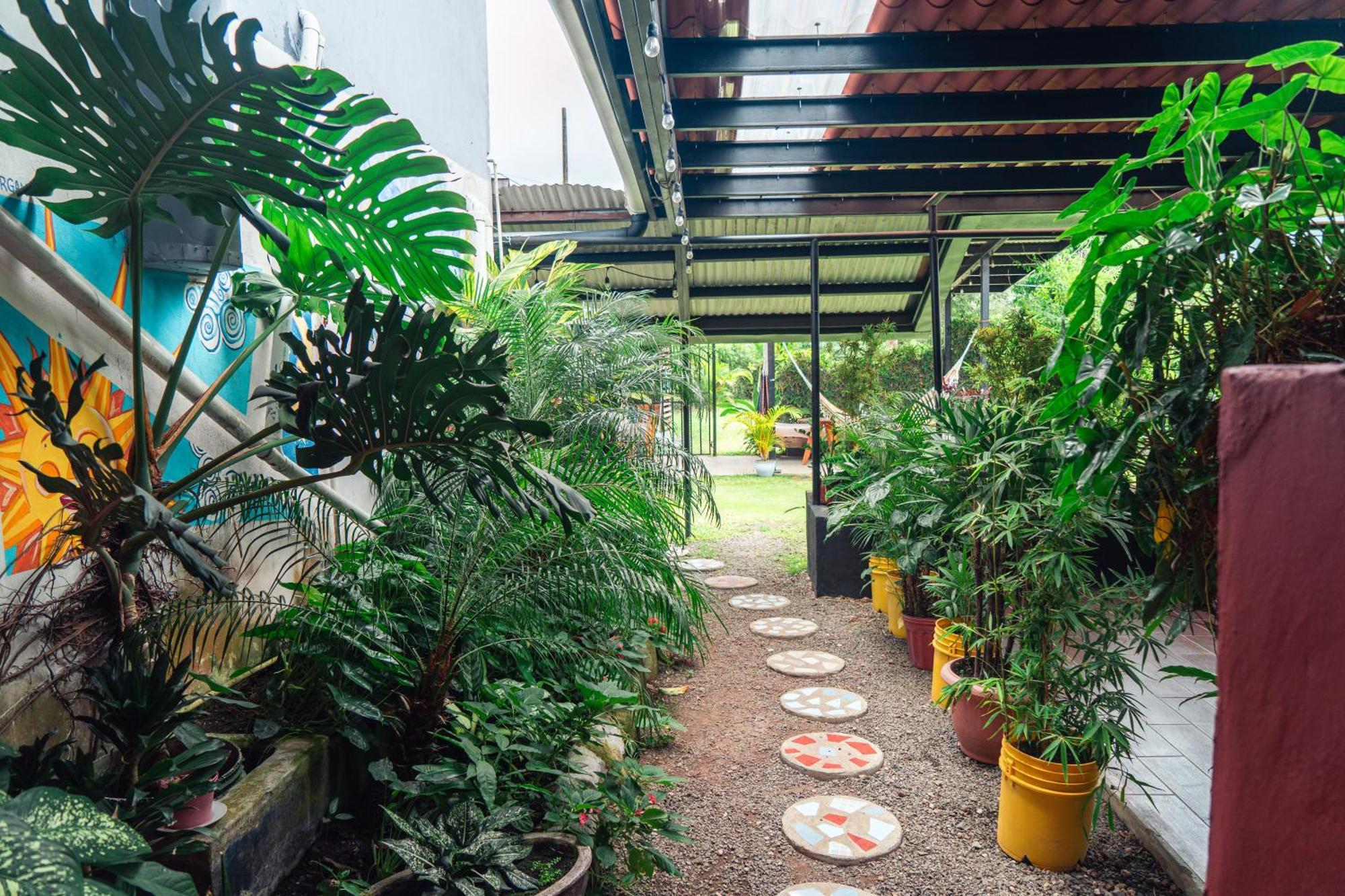 Bodhi & Lounge Hostel *
